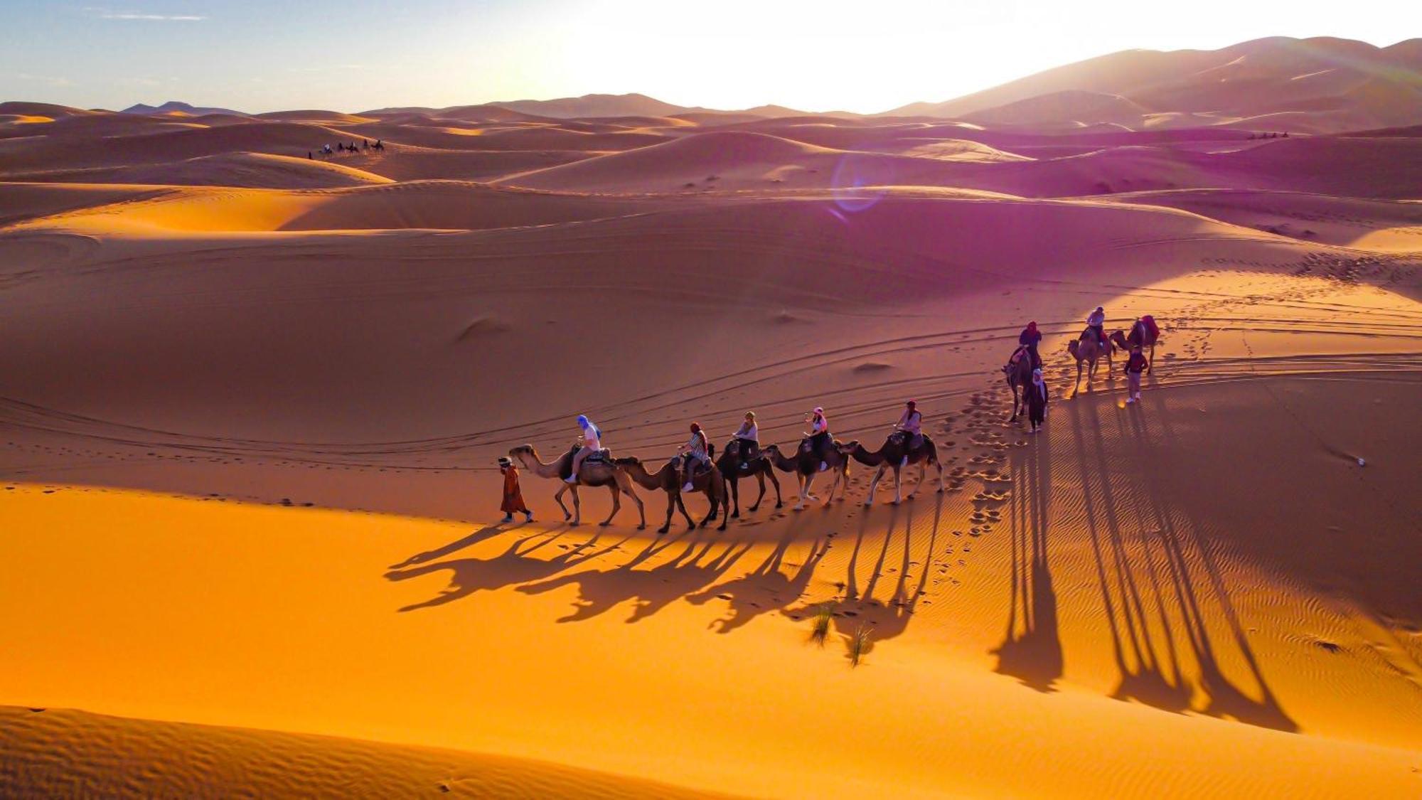 Palmas Camp Merzouga Exteriér fotografie