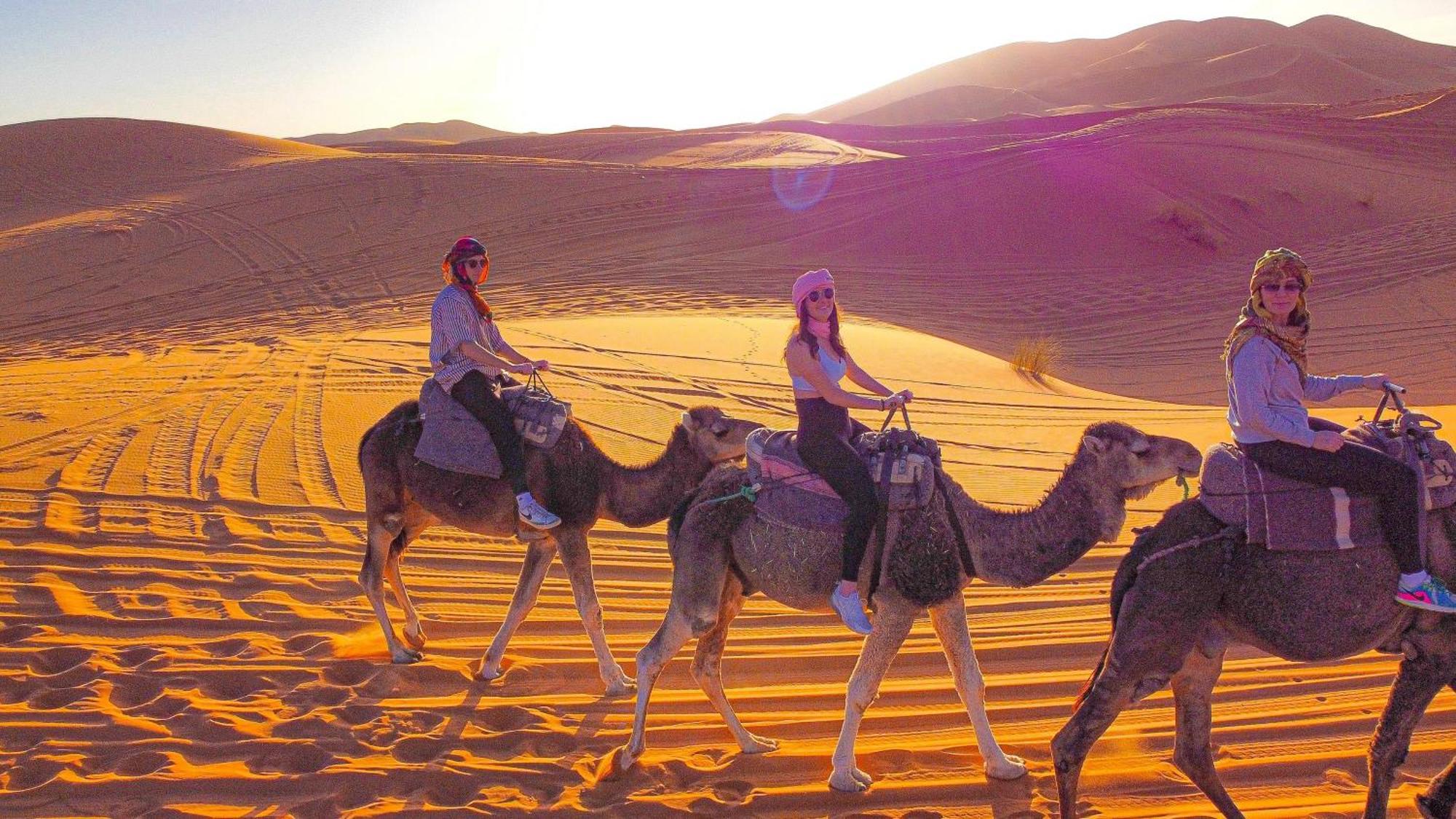 Palmas Camp Merzouga Exteriér fotografie